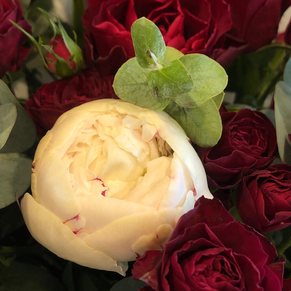 Элегантный букет с пионами и розами Элегантный букет с пионами и розами